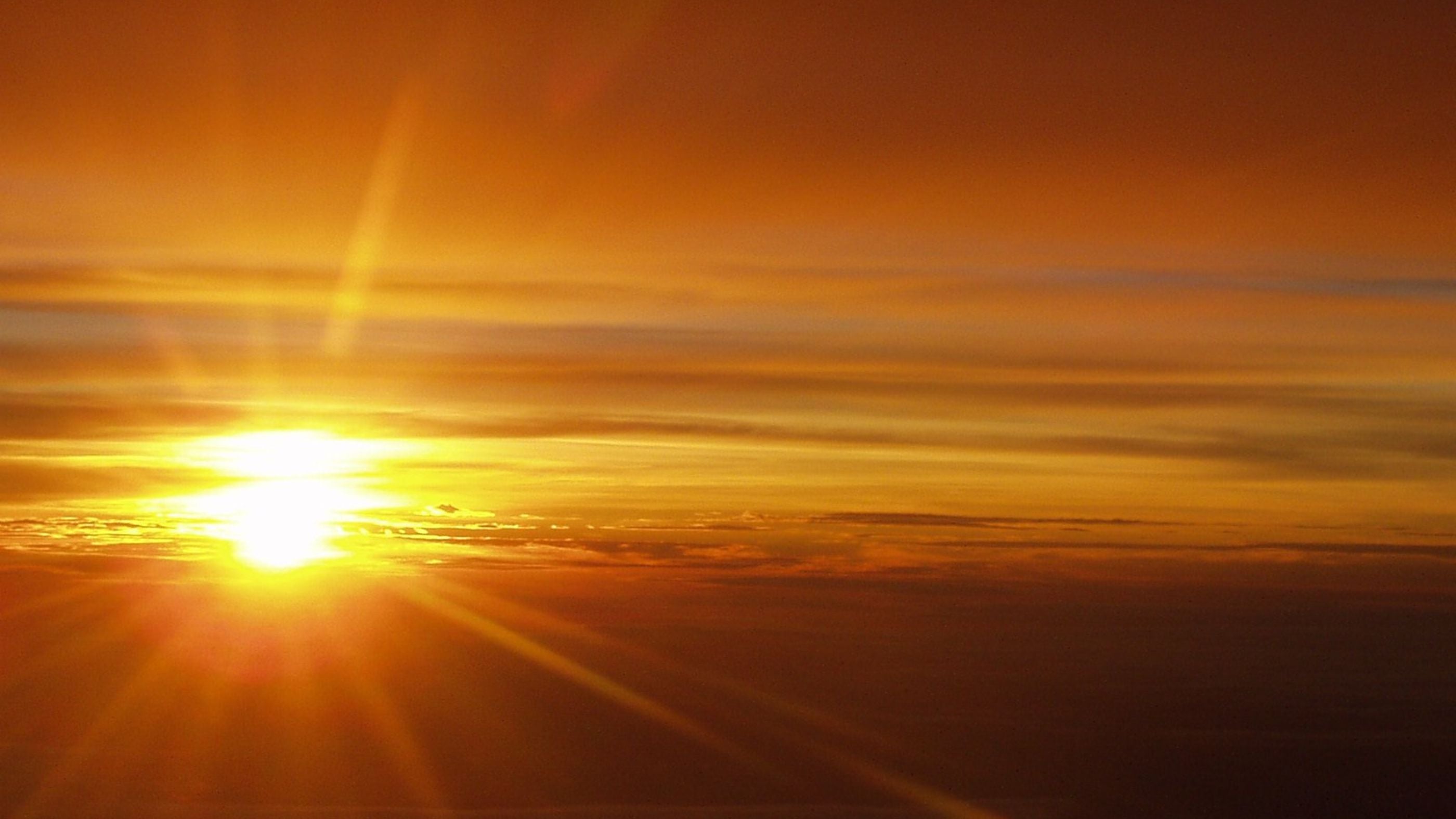 THE MUSICAL HERITAGE SOCIETY GREAT MUSIC FOR ALL The Musical